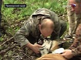 Премьер-министр РФ Владимир Путин посетил в воскресенье Уссурийский заповедник и "познакомился" с одним из его обитателей - пятилетней тигрицей, пойманной учеными Премьер-министр РФ Владимир Путин посетил в воскресенье Уссурийский заповедник и "познакомился" с одним из его обитателей - пятилетней тигрицей, пойманной учеными