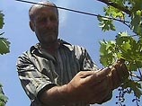 Последние опросы показали, что россияне стали хуже относиться не только к руководству, но и к народу Грузии Последние опросы показали, что россияне стали хуже относиться не только к руководству, но и к народу Грузии