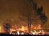 Вместе с тем на виноградниках несчастья Грузии не закончились - пожары в национальных парках Боржоми- Харагаули и Колхети, а также Атенском ущелье нанесли грузинской природе ущерб на полмиллиона евро