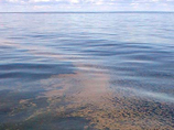 Балтика – самое больное море на планете Балтика – самое больное море на планете