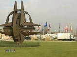 Страны НАТО согласны на вступление Украины и Грузии в Североатлантический альянс, заявил вице-президент США Ричард Чейни, находящийся с визитом в Италии