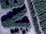 Установлен автор гигантского поздравления Ленину, которое увидели из космоса (ФОТО) Установлен автор гигантского поздравления Ленину, которое увидели из космоса (ФОТО)