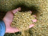 Грузия импортировала из российских регионов, расположенных недалеко от ее границы муку. По данным Российского зернового союза, в прошлом сезоне Грузия купила в России 300 тысяч тонн зерна, главным образом пшеницы, и 96,6 тысяч тонн пшеничной муки