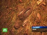 Следствие рассматривает 10 версий крушения Boeing в Перми Следствие рассматривает 10 версий крушения Boeing в Перми