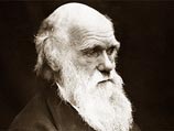 Церкви следует извиниться за критику Дарвина, убежден представитель Англиканской церкви