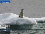 Арктические льды достигли минимальной площади за 2008 год, но рекорд не побили