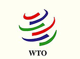 Россия все еще стремится в ВТО, заявил премьер Путин
