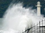 Два моряка с затонувшего сухогруза "Толстой" смогли спастись Два моряка с затонувшего сухогруза "Толстой" смогли спастись