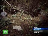 Найденные в Екатеринбурге останки могут принадлежать пропавшим в апреле детям из Узбекистана Найденные в Екатеринбурге останки могут принадлежать пропавшим в апреле детям из Узбекистана