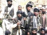 The Independent: Афганское правительство ведет тайные переговоры с талибами