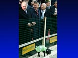 Путин считает, что радость от поросячих соревнований нельзя недооценивать
Путин считает, что радость от поросячих соревнований нельзя недооценивать
