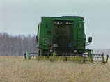 Минсельхоз РФ  доложил  о рекордном   урожае зерна