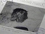 В подмосковном лесу найдена отрезанная голова