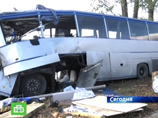 В Краснодарском крае автобус врезался в дерево - трое погибших, 34 пострадавших