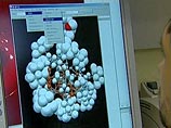 Создана новая вакцина от птичьего гриппа: она может спасти и человека Создана новая вакцина от птичьего гриппа: она может спасти и человека