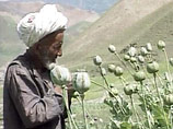 Основным источником дохода "Аль-Каиды" и "Талибана", пишет далее автор статьи Александр Рицманн, является производство наркотиков в Афганистане и пожертвования из арабского мира