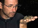 В горных лесах Танзании итальянский ученый обнаружил 17 новых видов рептилий и амфибий