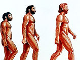 Эволюция вида Homo sapiens продолжается Эволюция вида Homo sapiens продолжается