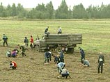 Петербургских студентов отправляют "на картошку" принудительно, как в советские времена, выяснил Der Spiegel Петербургских студентов отправляют "на картошку" принудительно, как в советские времена, выяснил Der Spiegel