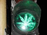 В Калининграде марихуане дали "зеленый свет", виновников оштрафуют