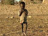 ООН предлагает развитым странам ежегодно выделять 30 млрд долларов на борьбу с голодом 