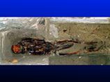 Установлено точное место захоронения Коперника:  его останки идентифицировали по волосу (ФОТО)