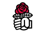 Партия французских социалистов расколота: Руаяль отказывается признать победу Обри Партия французских социалистов расколота: Руаяль отказывается признать победу Обри