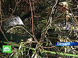 Во Владимирской, Нижегородской и Смоленской областях без света остаются почти 50 тыс. человек Во Владимирской, Нижегородской и Смоленской областях без света остаются почти 50 тыс. человек