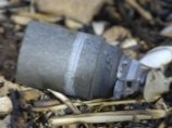 Подписи под Конвенцией о запрете кассетных боеприпасов уже поставили 92 государства Подписи под Конвенцией о запрете кассетных боеприпасов уже поставили 92 государства