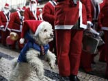 В португальском Порто собрались более 14000 Санта-Клаусов - это мировой рекорд