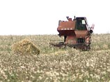 Сельское хозяйство России в 2009 году получит 866 миллиардов рублей Сельское хозяйство России в 2009 году получит 866 миллиардов рублей