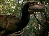 Ученые: самцы динозавров участвовали в воспитании потомства и высиживали яйца