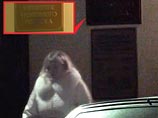 Сыщики считают, что грабителей на дом шоумена Александра Цекало "навела" няня его дочери Сыщики считают, что грабителей на дом шоумена Александра Цекало "навела" няня его дочери