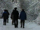 Накануне Нового года к елкам в московских парках приставят круглосуточную охрану