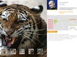 Путин завел на своем сайте "видеоблог" уссурийской тигрицы, которую он усыпил летом в тайге