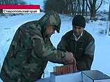 На Ставрополье объявлен карантин в селе, где свиньи заболели африканской чумой На Ставрополье объявлен карантин в селе, где свиньи заболели африканской чумой