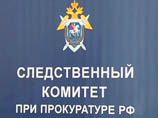 По факту гибели детей, замерзших насмерть в Подмосковье, возбуждено уголовное дело По факту гибели детей, замерзших насмерть в Подмосковье, возбуждено уголовное дело