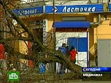 В Северной Осетии объявлено штормовое предупреждение в связи с усилением южного ветра