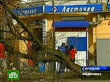 В Северной Осетии объявлено штормовое предупреждение в связи с усилением южного ветра В Северной Осетии объявлено штормовое предупреждение в связи с усилением южного ветра