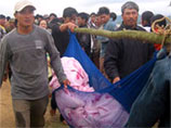 Во Вьетнаме 40 человек погибли на борту затонувшего парома
