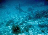 Россия может получить права на часть сокровищ, обнаруженных на дне у побережья Гайаны