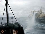 Организация Sea Shepherd Conservation известна своей крайне радикальной позицией. В прошлом году она неоднократно заявляла, что будет таранить японских китобоев Организация Sea Shepherd Conservation известна своей крайне радикальной позицией. В прошлом году она неоднократно заявляла, что будет таранить японских китобоев