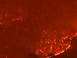 Лесные пожары унесли жизни 35 человек. По данным полиции, люди погибли в разных районов штата Виктория, лесные массивы которого в последние недели охвачены пожарами