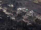 Число жертв лесных пожаров на юге Австралии достигло 130 человек