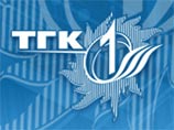 ТГК-1 требует, чтобы суд аннулировал постановление эстонского правительства от 2006 года, которым один участок недвижимости плотины Кулгу сдан в аренду российскому АО "Нарвские электростанции"
