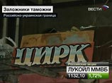 Застрявших на российско-украинской границе верблюдов выпустили попастись Застрявших на российско-украинской границе верблюдов выпустили попастись