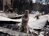 Согласно официальной информации, жертвами сильнейших пожаров на юге Австралии стал 181 человек