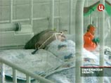 В Свердловской области эпидемия неизвестного заболевания: в больницы попали уже 577 человек В Свердловской области эпидемия неизвестного заболевания: в больницы попали уже 577 человек