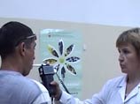 Медведев подписал закон, ужесточающий наказание для пьяных водителей Медведев подписал закон, ужесточающий наказание для пьяных водителей