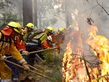 C 7 февраля на территории штата Виктория зарегистрированы 400 очагов лесных пожаров
